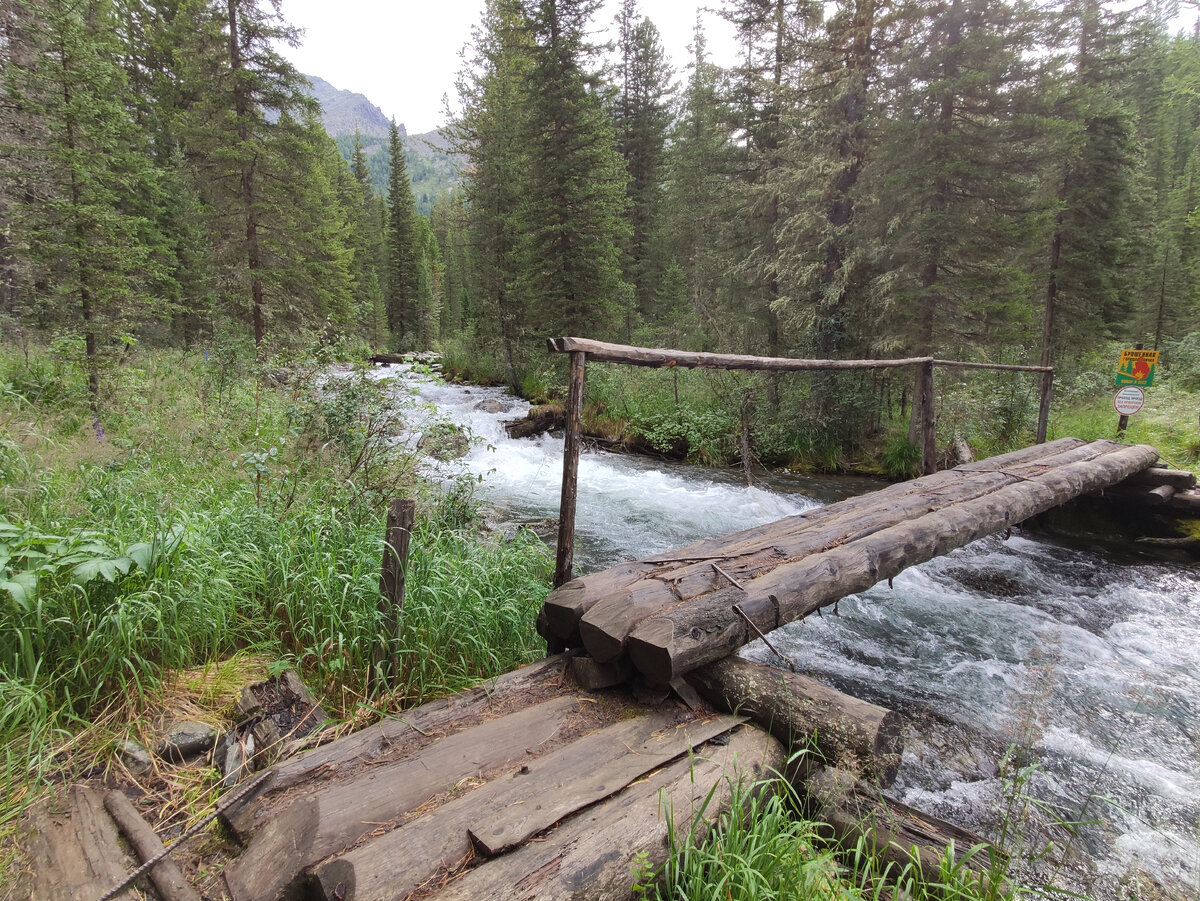 Выспаться картинки смешные. Доброе утро не выспалась. Я каждое утро. Каждое утро говорю себе спокойствие только спокойствие. Мы выспимся.