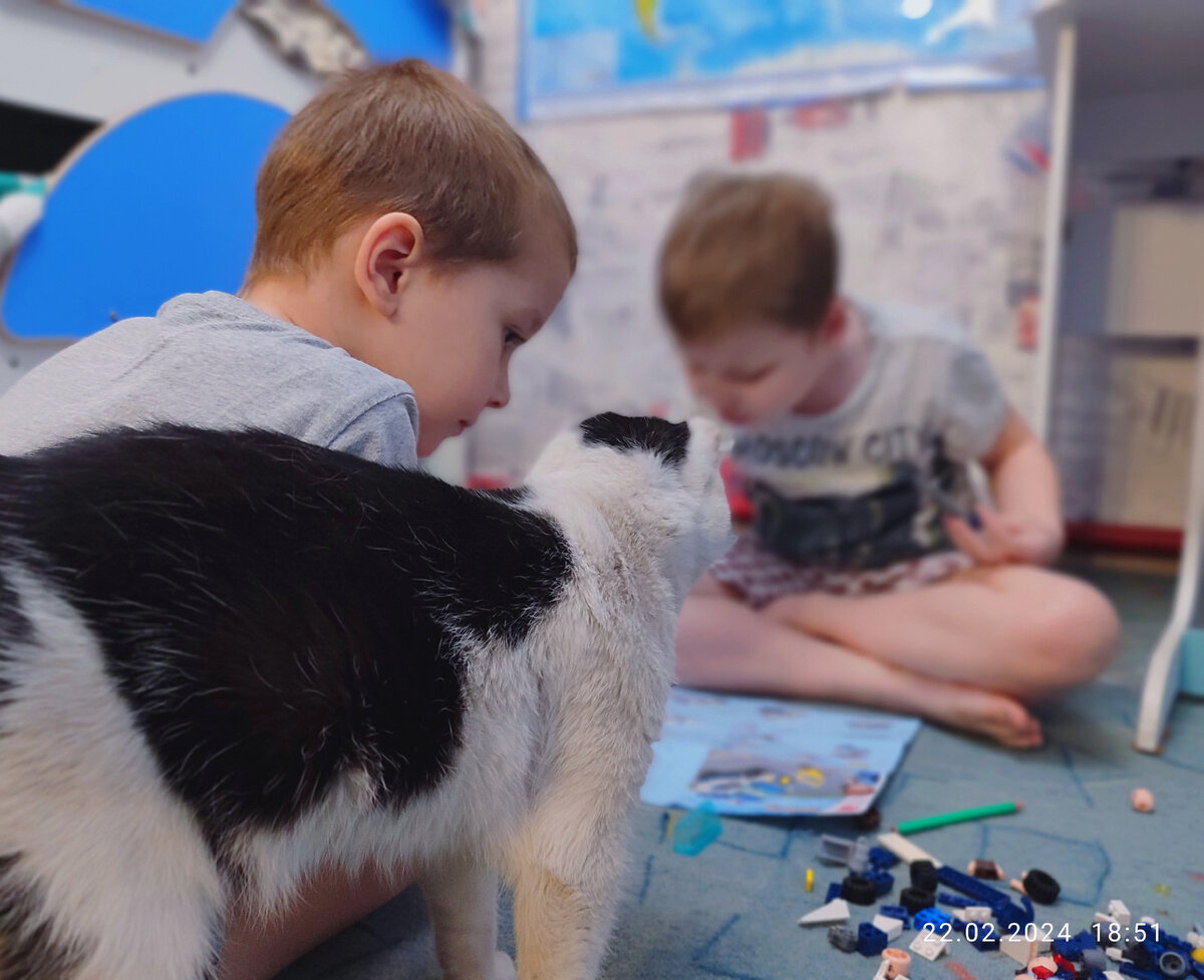 Вадя, Паша и кот Саша, который теперь не оставляет детей без присмотра