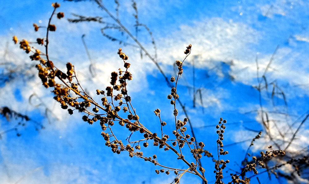 Белое небо и голубой снег