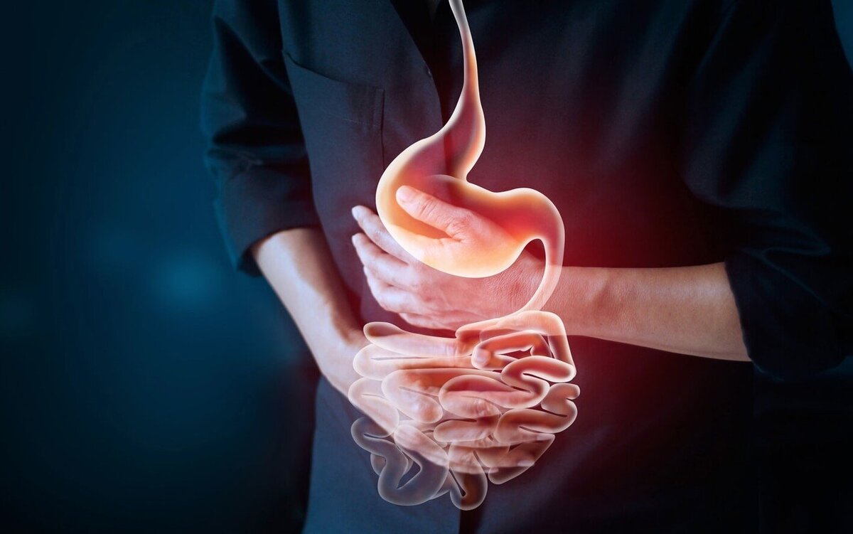    Человеческий организм умеет бороться с опасными бактериями в еде, но иногда патогены оказываются сильнее