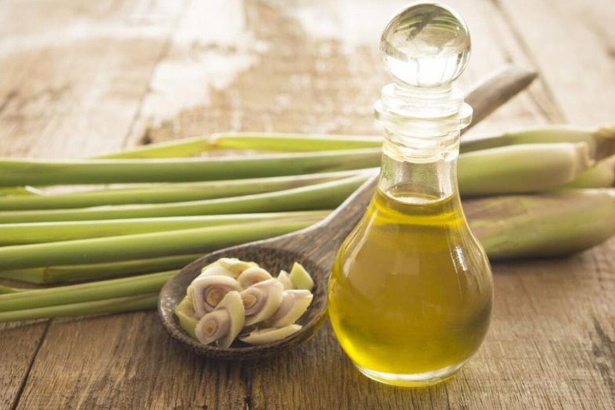 Лемонграсс