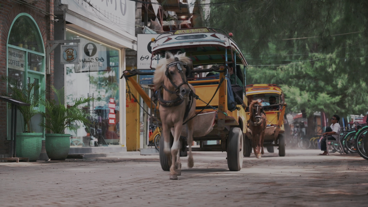 Остров алькатрас сан франциско. Остров заключенных. Тюрьма острова сарк. Тюрьма на острове алькатрас. Тюрьма на острове алькатрас.
