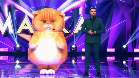 Кот, получил иммунитет.