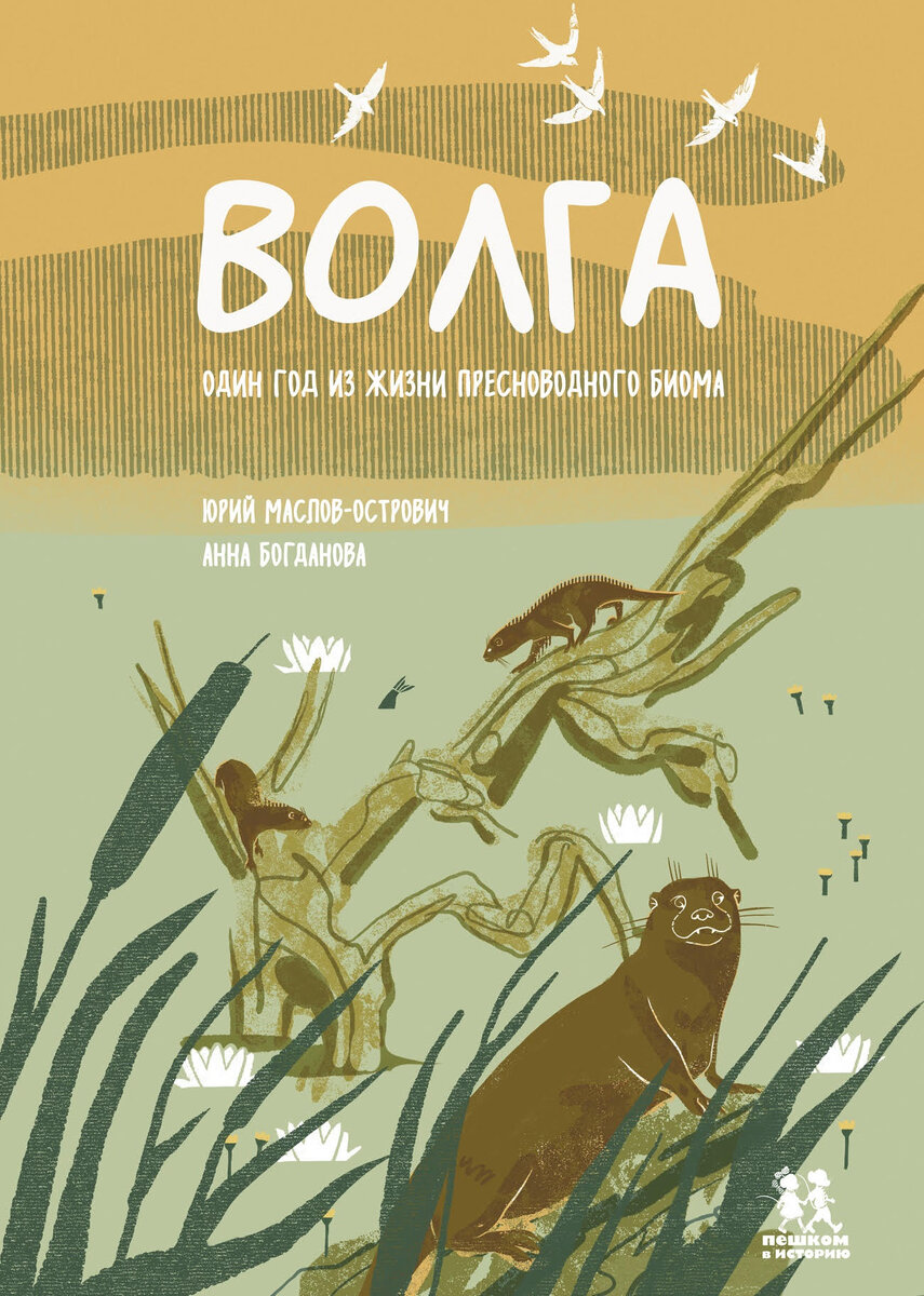 Юрий Маслов-Острович. Волга. Один год из жизни пресноводного биома (Пешком в историю, 2024). Иллюстрации Анны Богдановой.