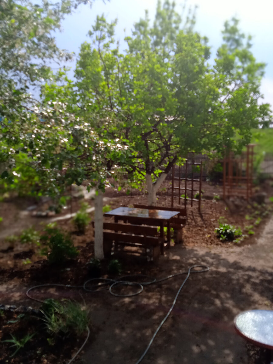 С замиранием сердца