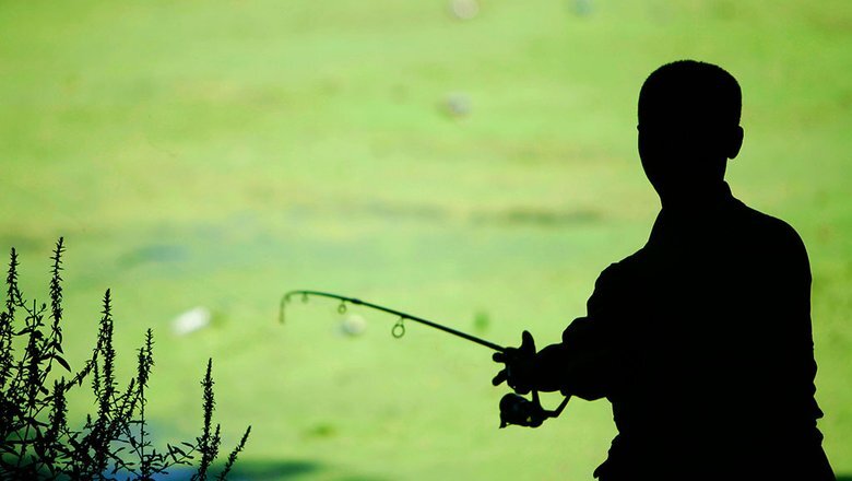 Источник: AP 2023