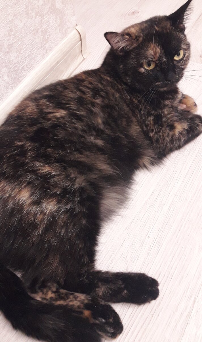 Милое существо.