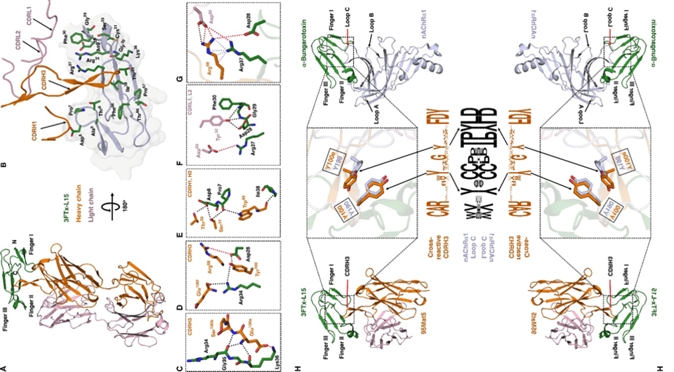   Joseph Jardine et al. / Science Translational Medicine, 2024