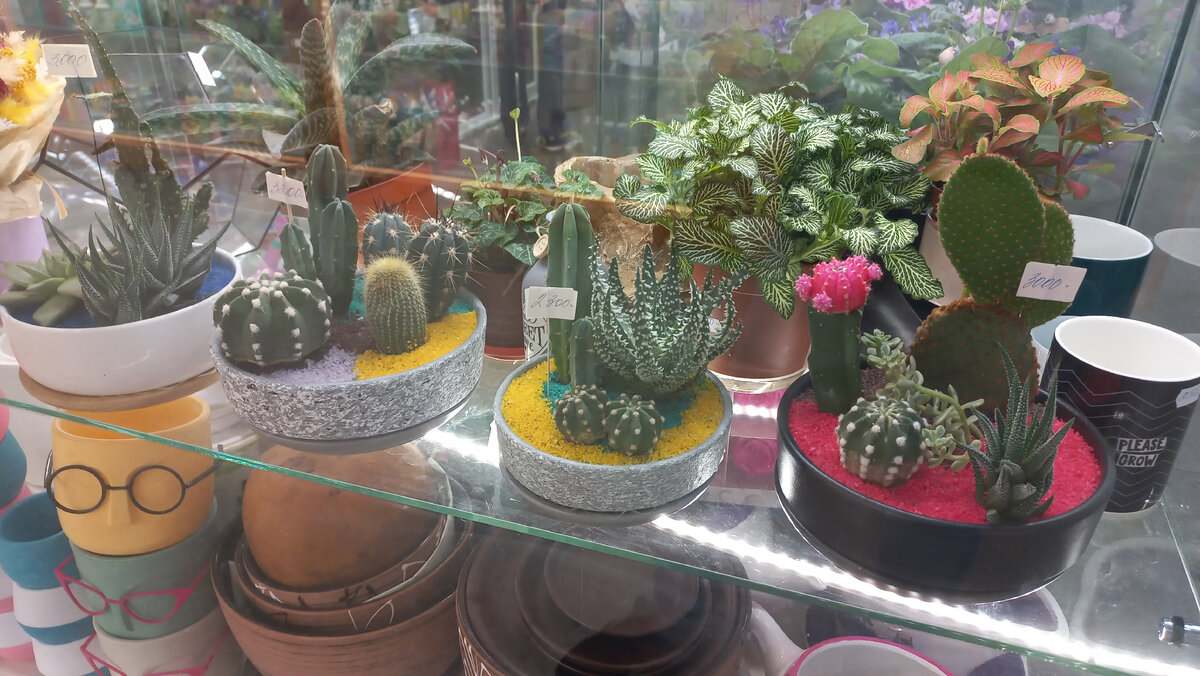 Мои ребята, конечно, поменьше пока будут, но классно же