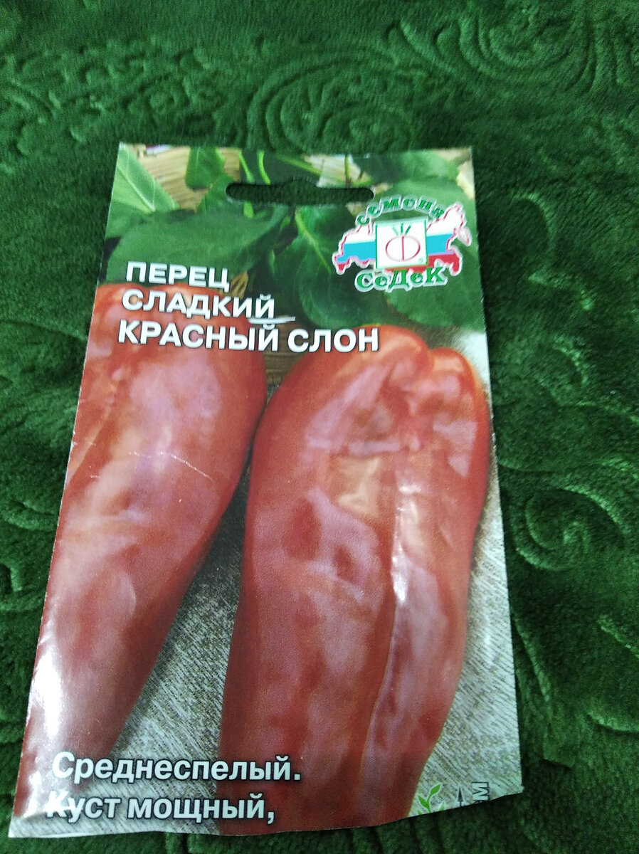 #седек