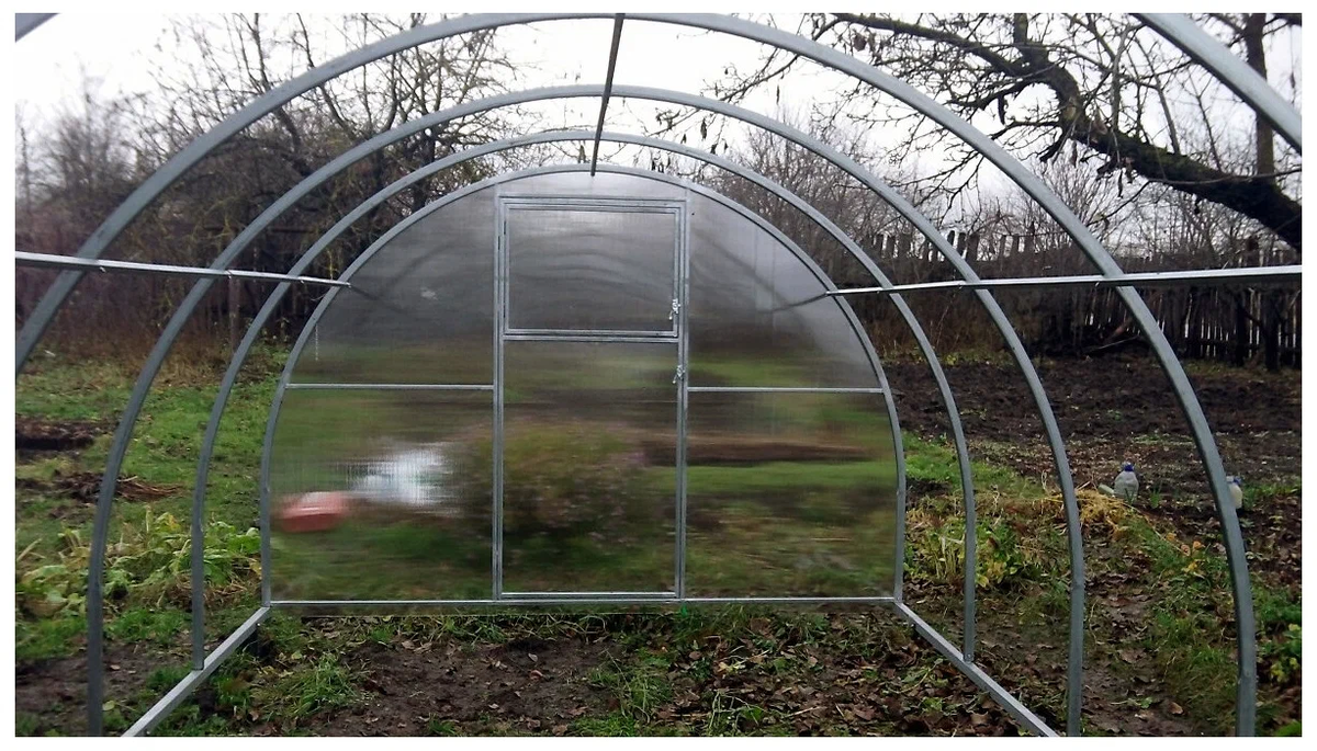 Фотография взята из источника yandex.ru