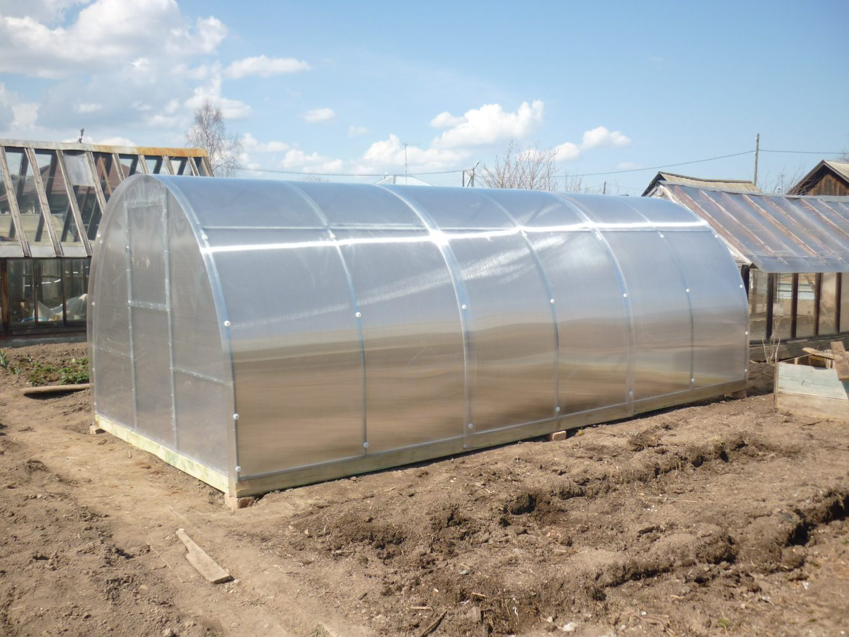 Фотография взята из источника yandex.ru