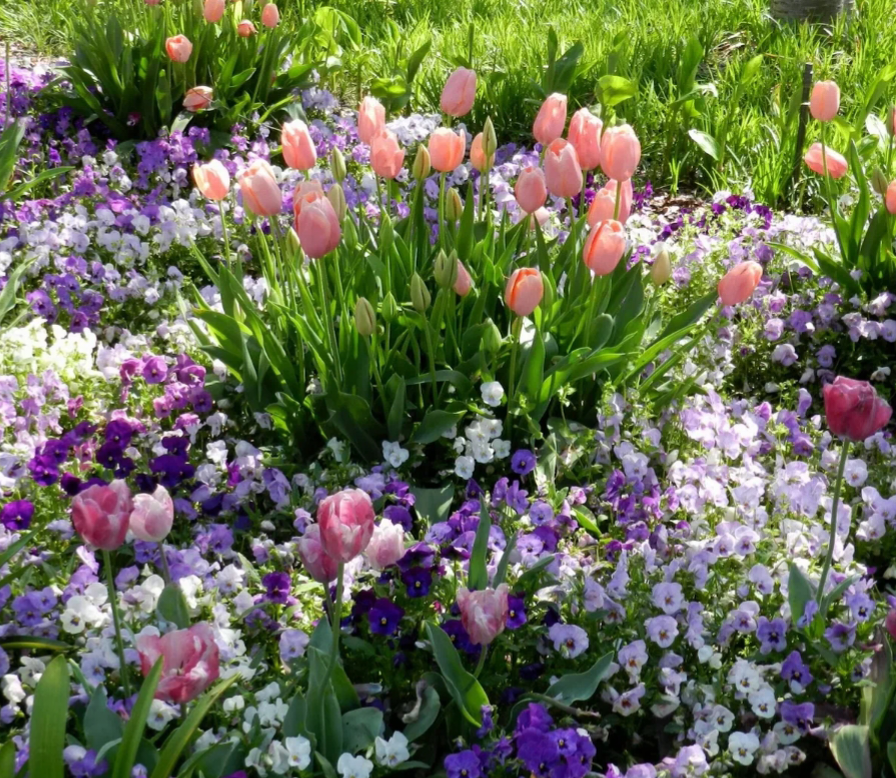 Фото: severmarket.ru