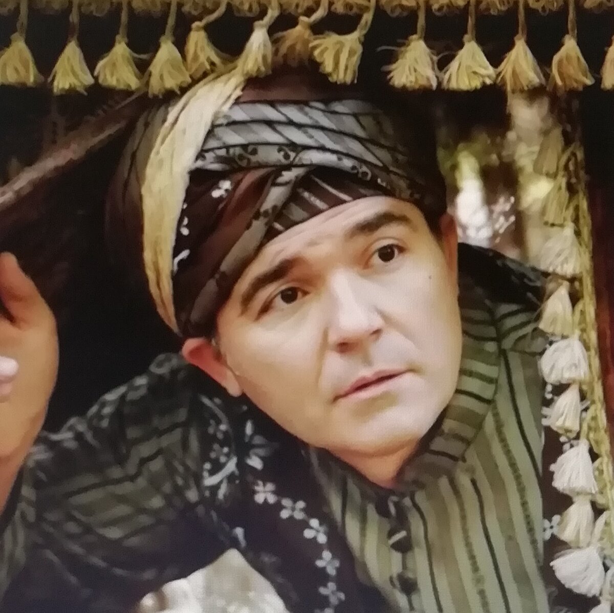 Гюль-ага прибыл в Топкапы