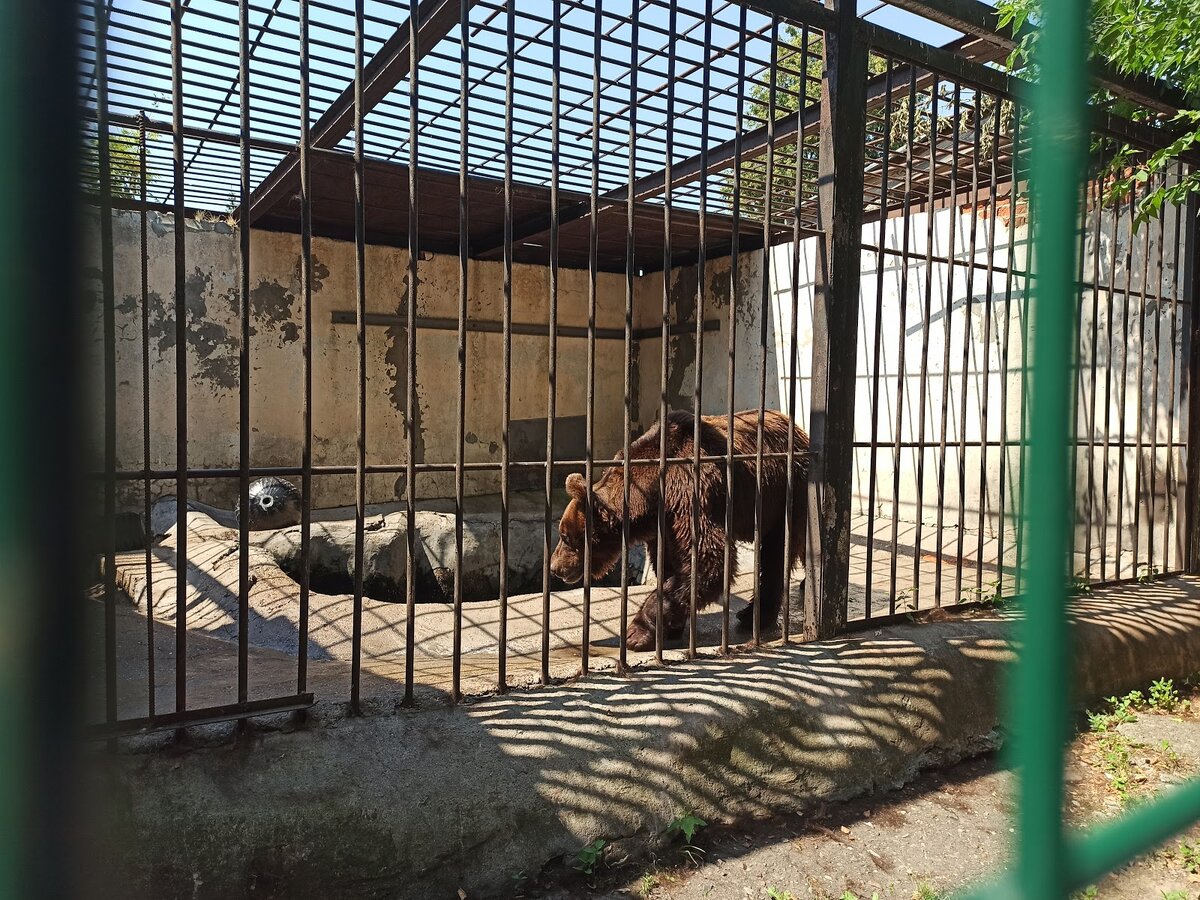 Фото из Google Карт, автор: Алена Коробова