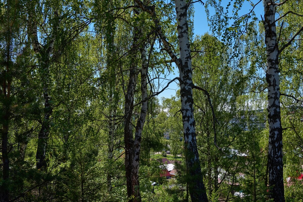 Фото сделано другом автора