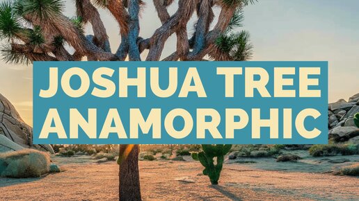 JOSHUA TREE + новые анаморфоты от DZO PAVO, JANUARY 2024