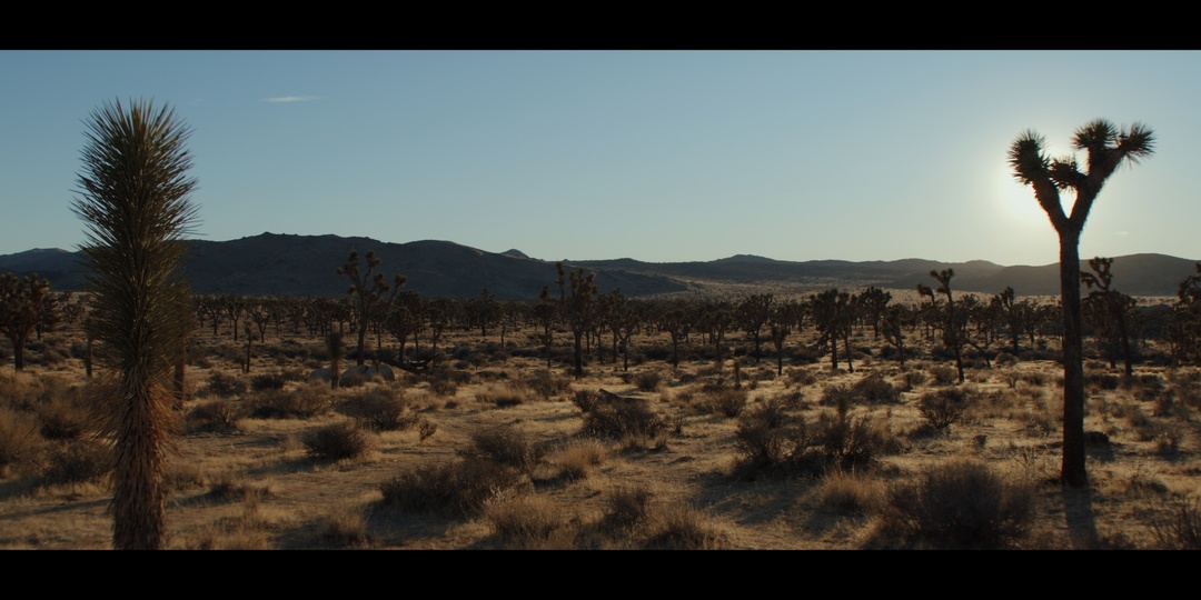 Джошуа Три: Волшебство Камней и Аркангельских Деревьев
