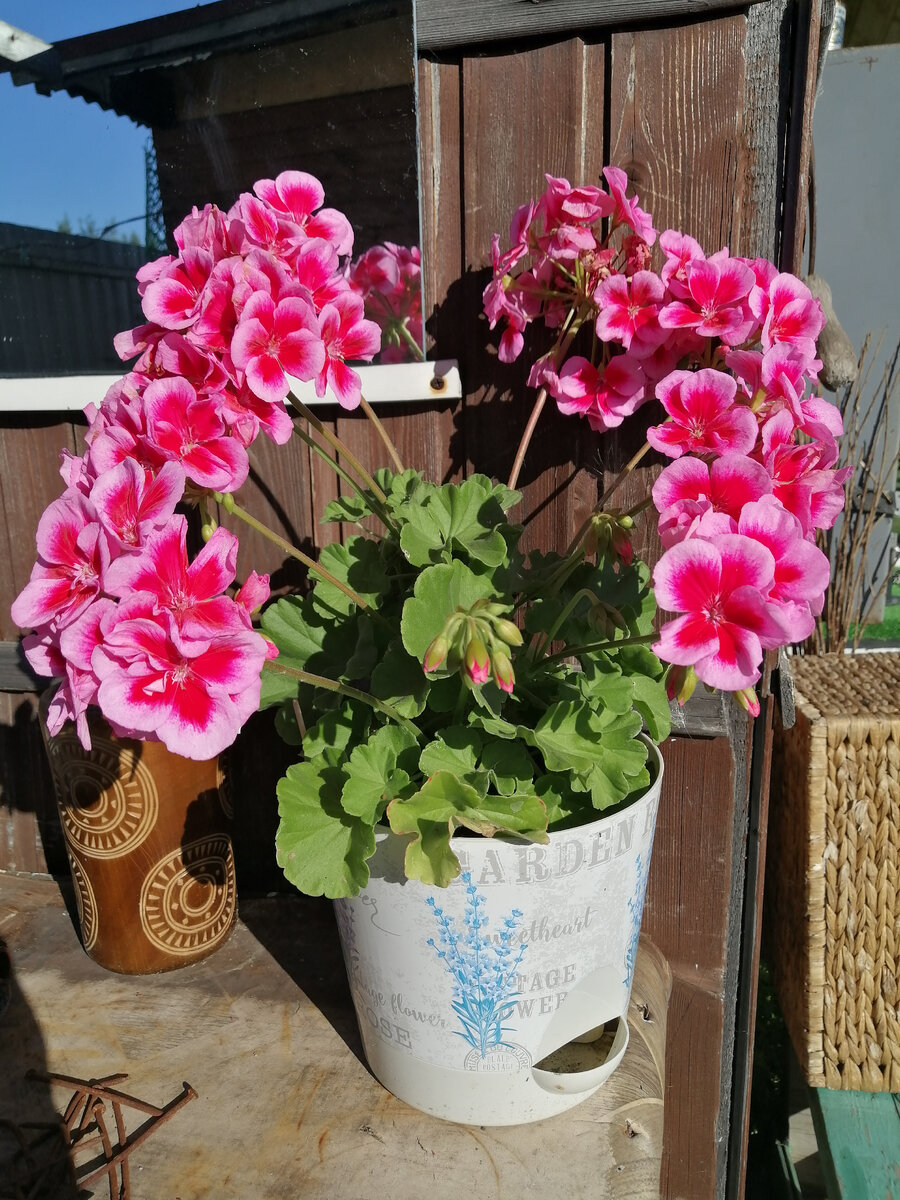 Одна из моих любимых