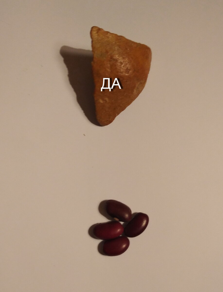 Бабушки возле подъезда называли оксану. Бабушка и дедушка юмор. Высказывания о пожилых людях. Узнала что буду бабушкой. Счастливая бабушка цитаты.