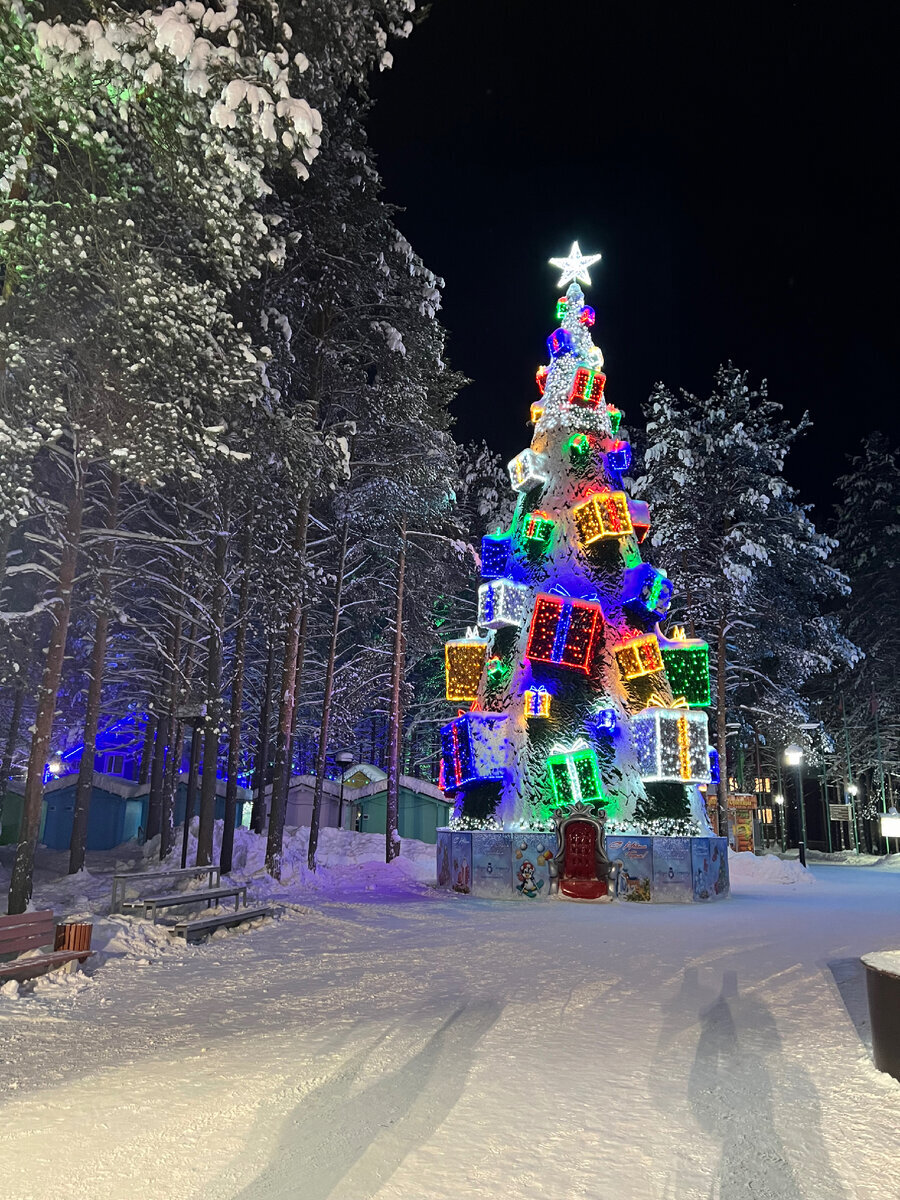 Великий устюг резиденция деда мороза трон. Родина деда мороза великий устюг. Сайт резиденции деда мороза великий устюг. Рабочий кабинет деда мороза в великом устюге. Великий устюг усадьба деда.
