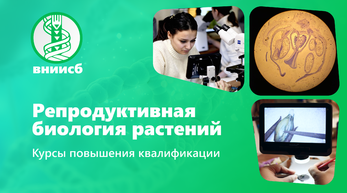 Курсы повышения квалификации ФГБНУ ВНИИСБ. Репродуктивная биология  растений. | ВНИИСБ | Дзен