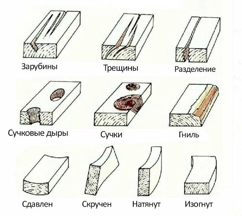 КАК СДЕЛАТЬ НАСТОЯЩИЕ ТАЁЖНЫЕ ЛЫЖИ? ПОНАДОБИТСЯ ТОЛЬКО... | Forest ...