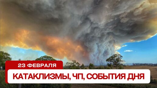 чрезвычайноепроиствие2010. чп. чп обзор за неделю. сэмми джабраил дтп. чп расследование.