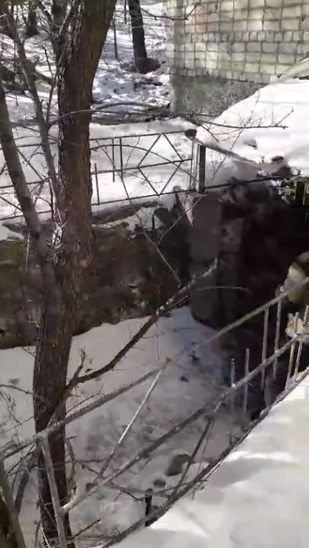    Фото: управление по охране животного мира Амурской области