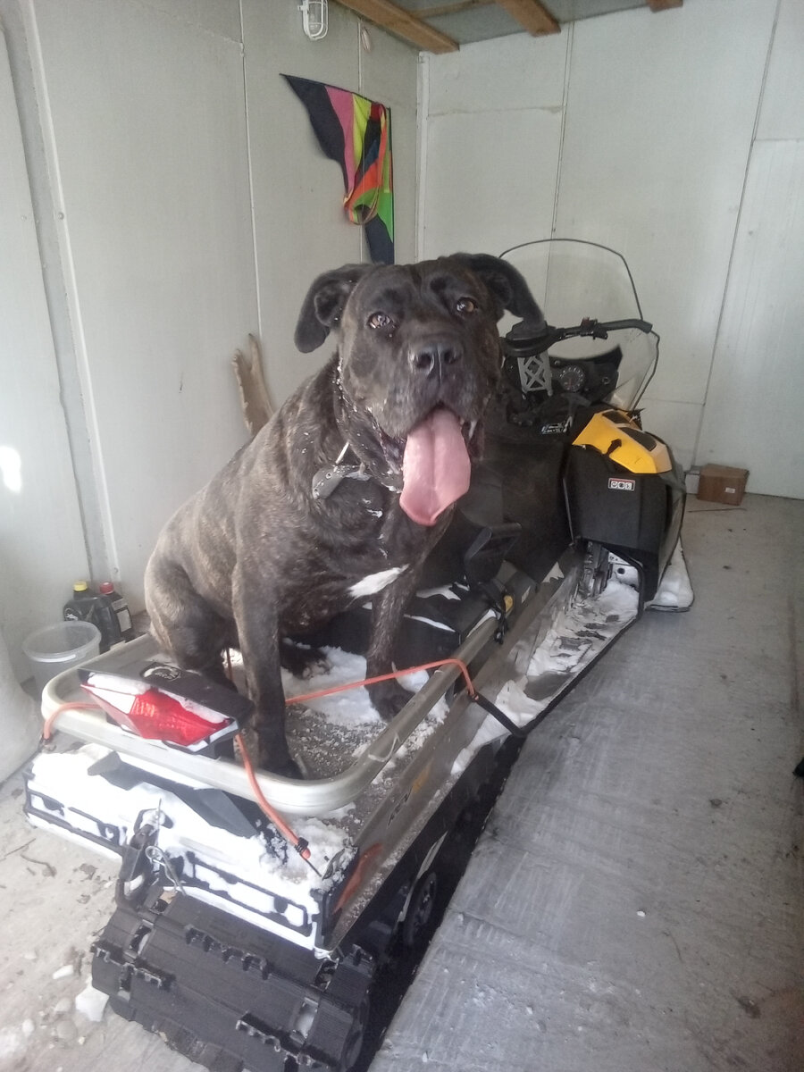 Фото автора. 