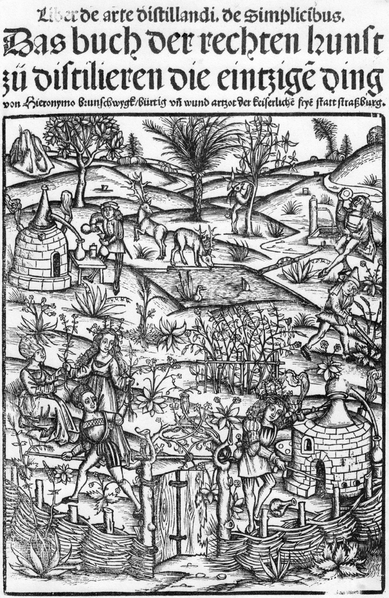 титульная страница знаменитой работы Бруншвига "Книга об искусстве дистилляции простейших".