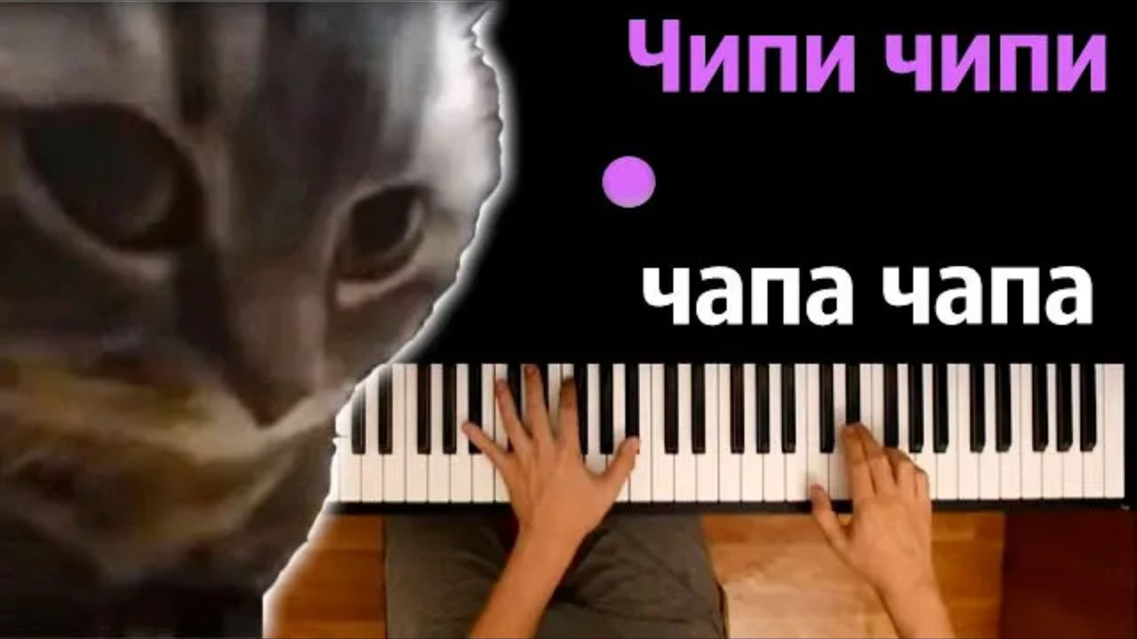 🐱💃 ЧИПИ ЧИПИ ЧАПА ЧАПА (на русском) ● караоке | PIANO_KARAOKE ● ᴴᴰ + НОТЫ