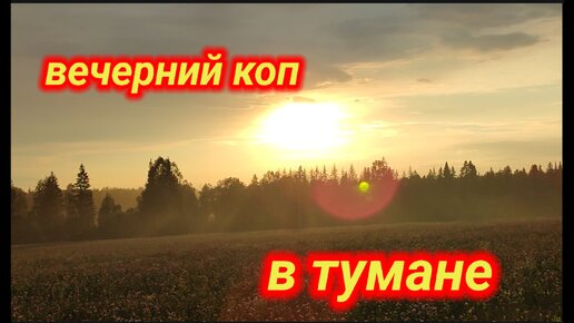 Вечерний коп в тумане