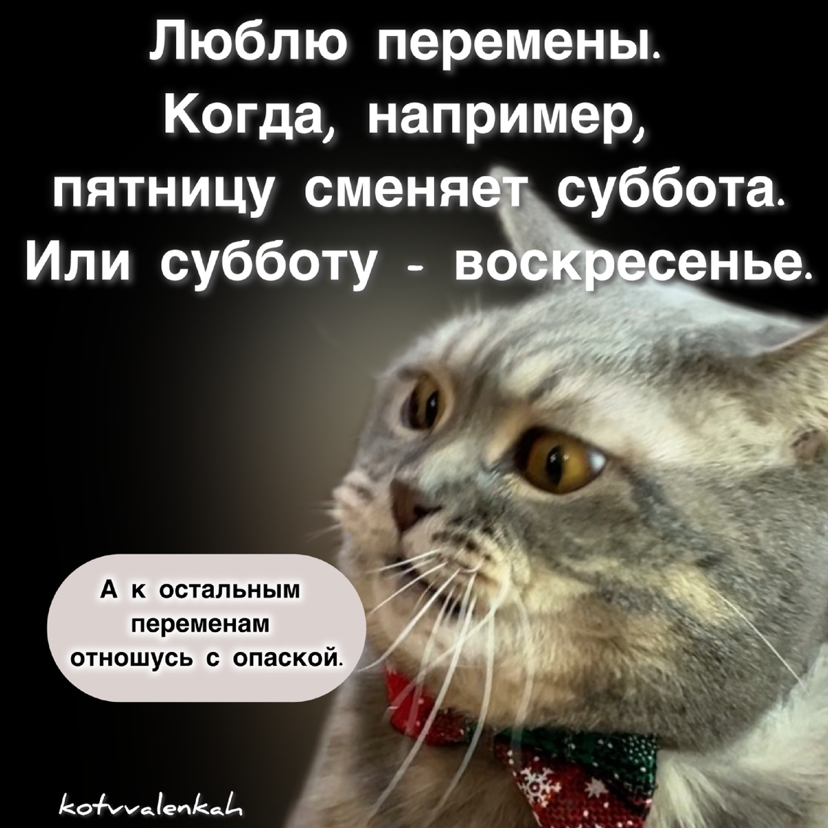 МЕМОранДУМ субботы.. встретимся весной?🪴 | Кот в валенках Марсель | Дзен