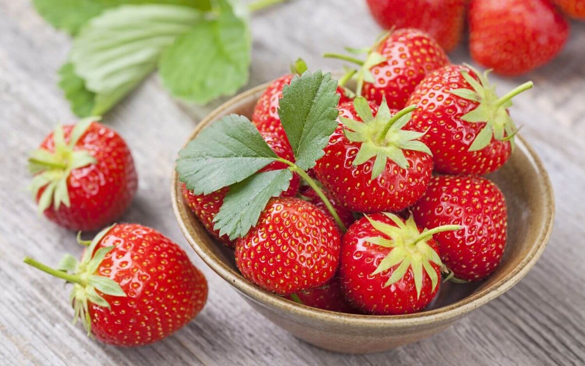 фото из интернета