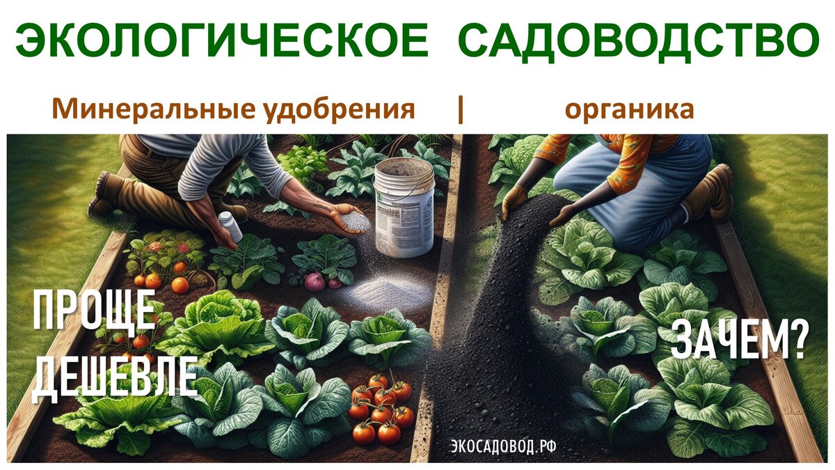 Зачем применять органику, если минералка дешевле и проще в применении?