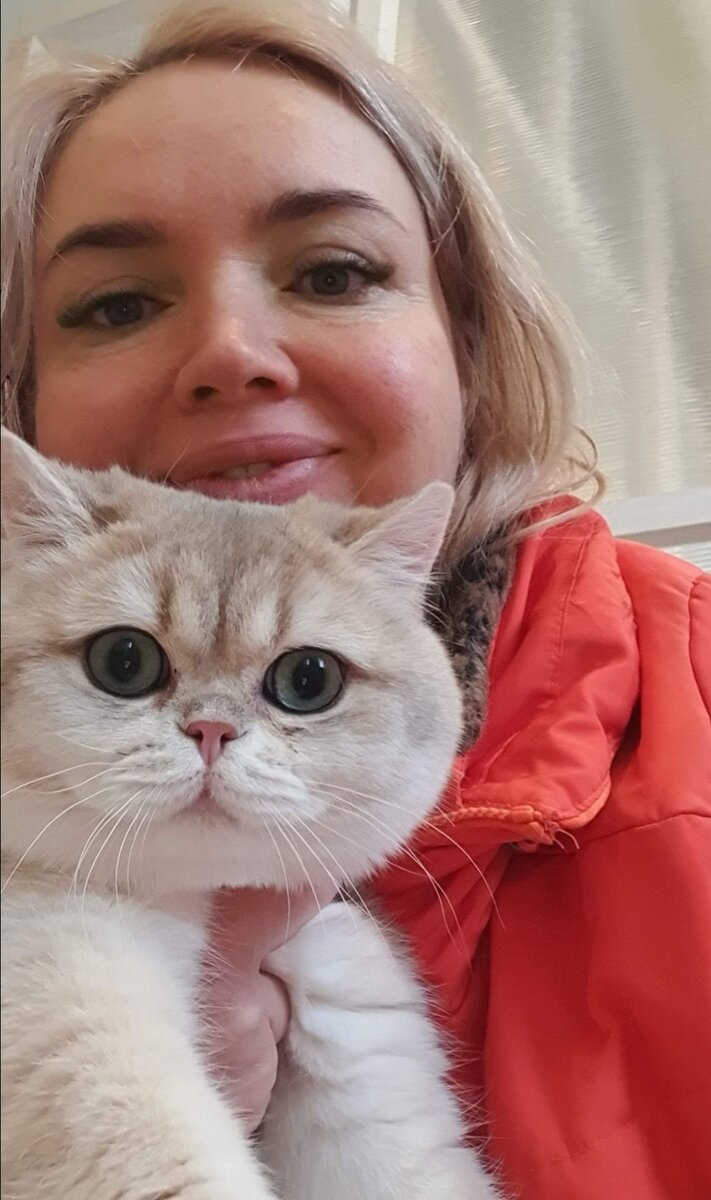 Я и котик Би-Джей. Питомник британских шиншилл Максельпоинт.