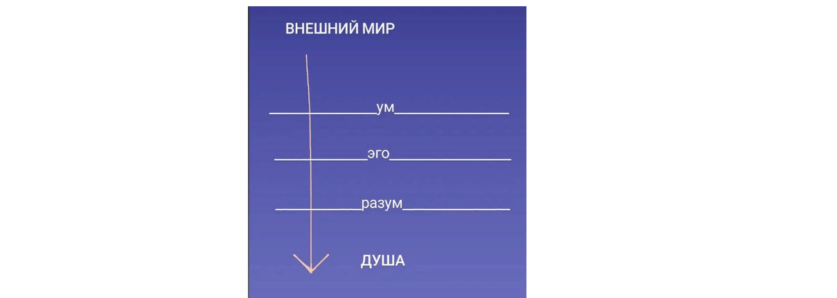 расположения элементов в тонком теле
