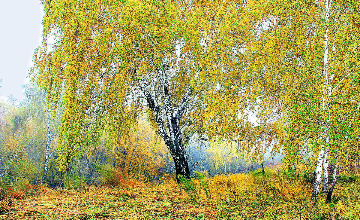 Фотография, стихотворение Василия Глуцкого