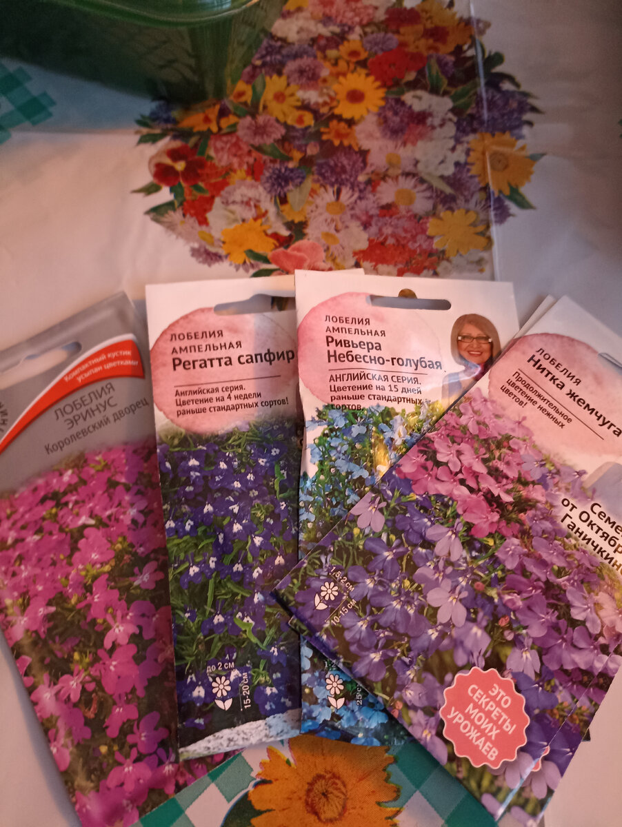 Семена покупала в Оби