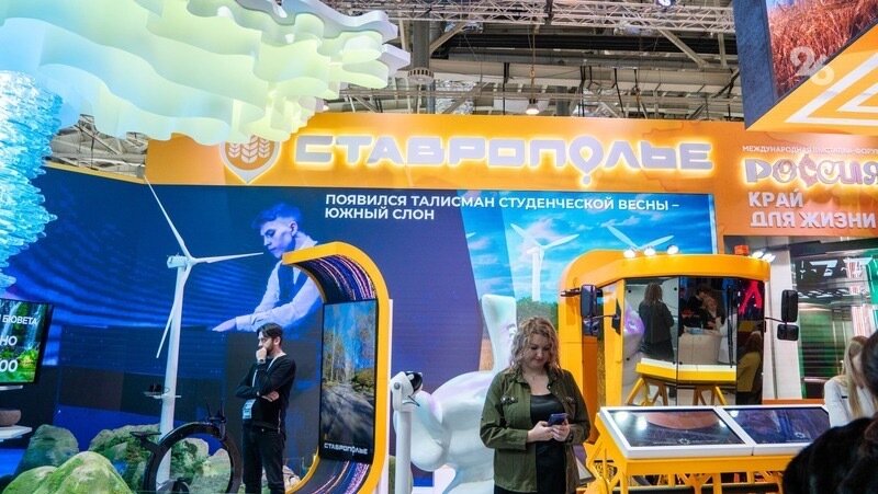      Фото: ИА «Победа26»