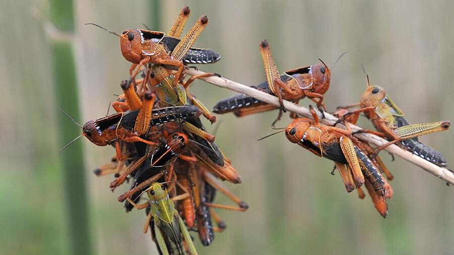 Фото: Дмитрий Рогулин/ТАСС