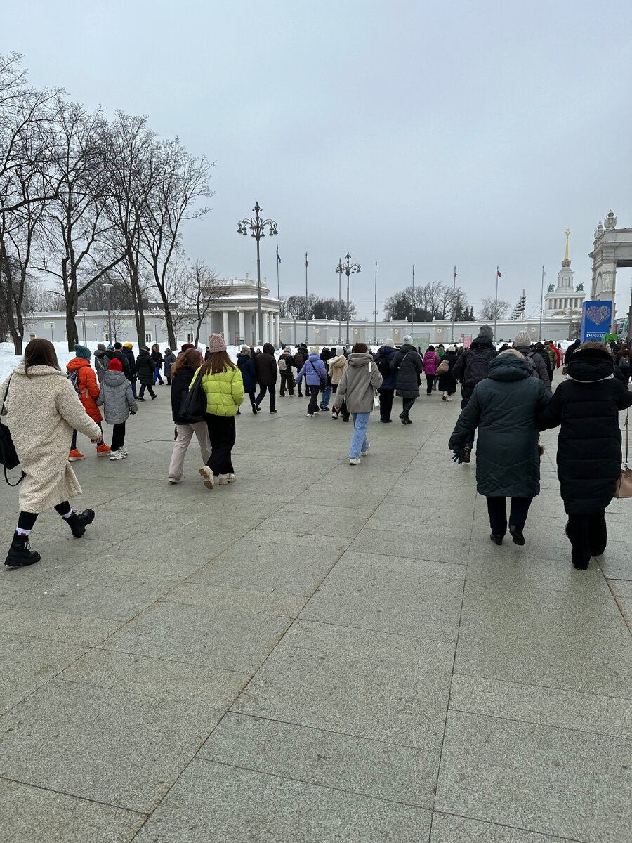Вот такой поток людей шел на выставку.