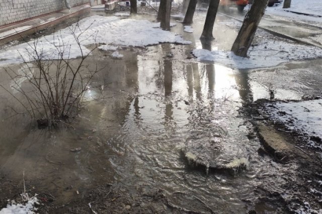    В доме в техподвал стекают стоки от протекающей канализации, что делать?