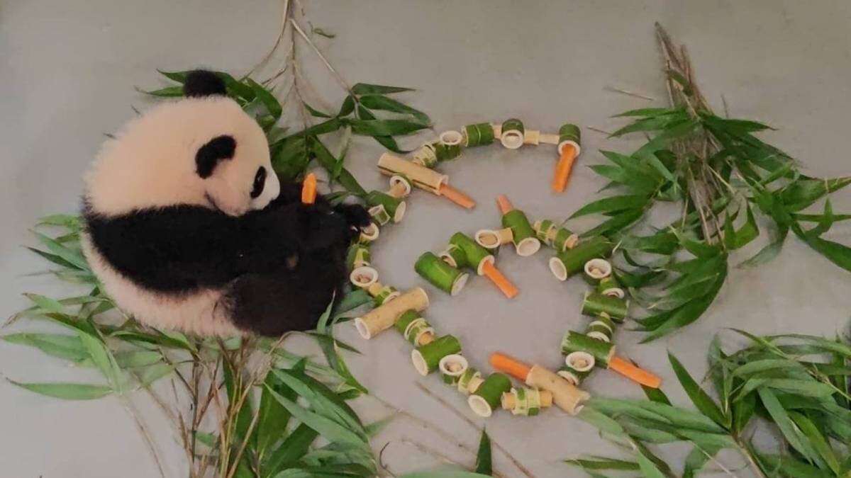    Фото: Telegram / Светлана Акулова