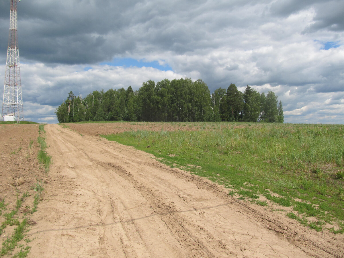  Священная роща в полукилометре от автодороги в деревню Большая Орша, Оршанского района Республика Марий Эл (бывшая Ернурская волость Яранского уезда Вятской губернии).