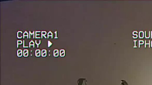 чем больше я узнаю людей тем больше мне нравятся собаки. люблю тебя цитаты. хочу много денег. кто хочет много знать. мудрые мысли.