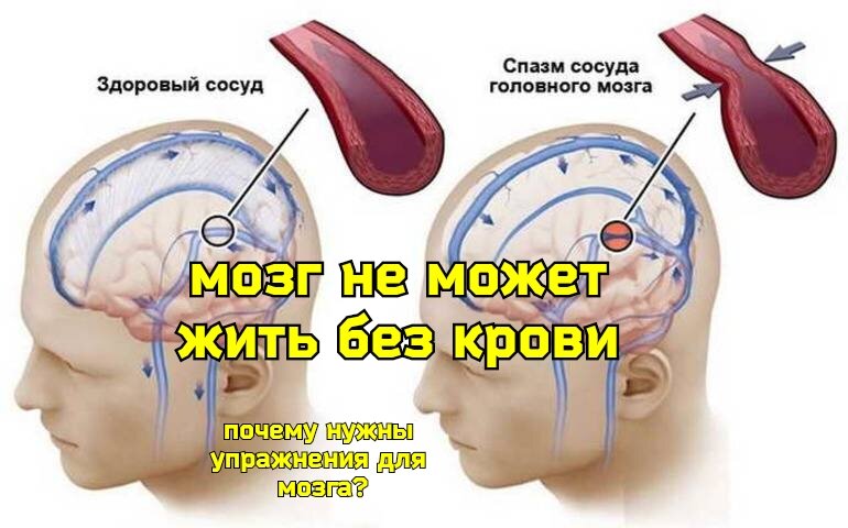 Мозговой тонус