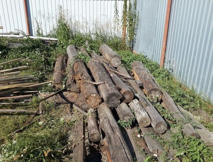Нашел бревна в огороде