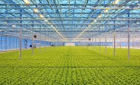 Технологии закрытого грунта
